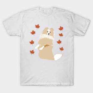 Collie joy T-Shirt